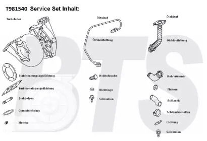 Компрессор, наддув BTS Turbo T981540